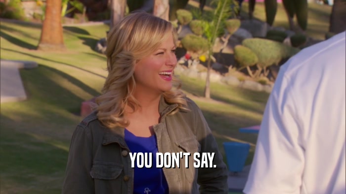YOU DON'T SAY.  