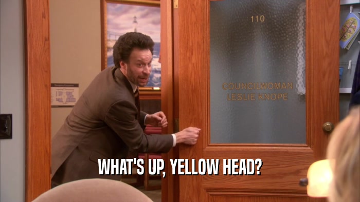 WHAT'S UP, YELLOW HEAD?  