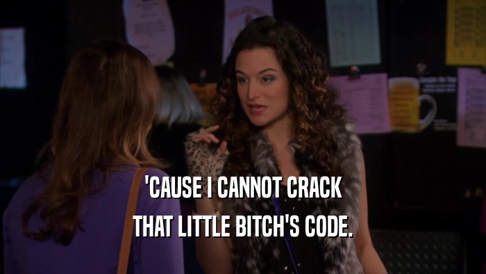 'CAUSE I CANNOT CRACK THAT LITTLE BITCH'S CODE. 