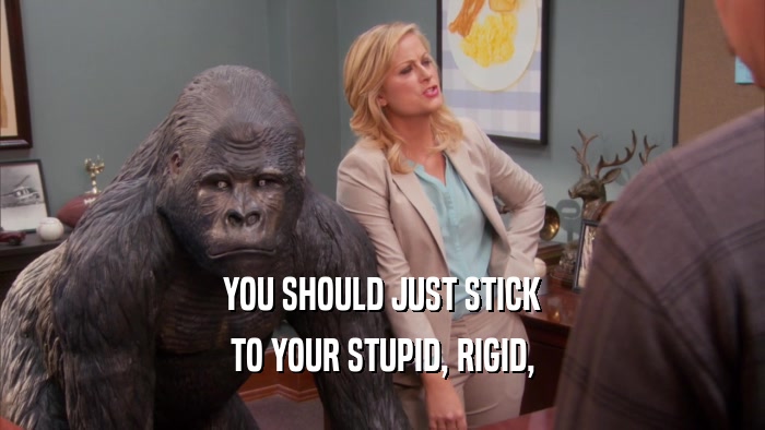 YOU SHOULD JUST STICK TO YOUR STUPID, RIGID, 