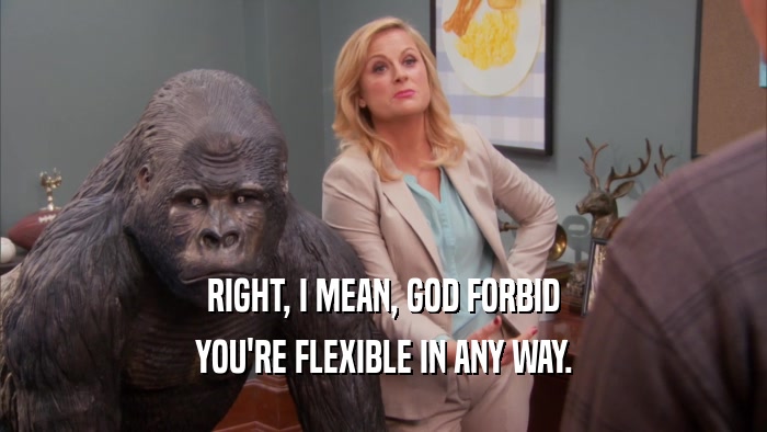 RIGHT, I MEAN, GOD FORBID YOU'RE FLEXIBLE IN ANY WAY. 