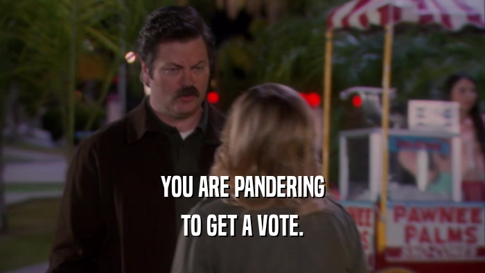 YOU ARE PANDERING TO GET A VOTE. 