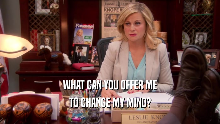 WHAT CAN YOU OFFER ME TO CHANGE MY MIND? 