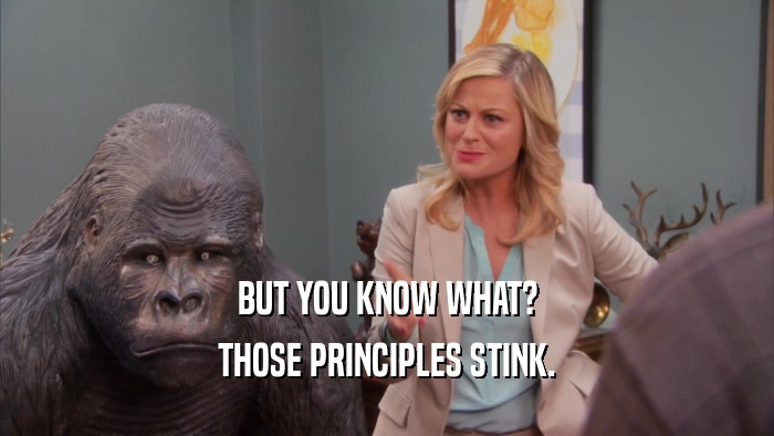 BUT YOU KNOW WHAT? THOSE PRINCIPLES STINK. 