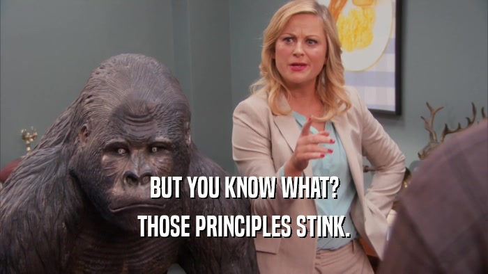 BUT YOU KNOW WHAT? THOSE PRINCIPLES STINK. 