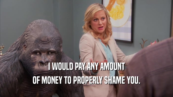 I WOULD PAY ANY AMOUNT OF MONEY TO PROPERLY SHAME YOU. 