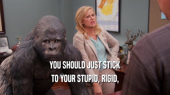 YOU SHOULD JUST STICK TO YOUR STUPID, RIGID, 