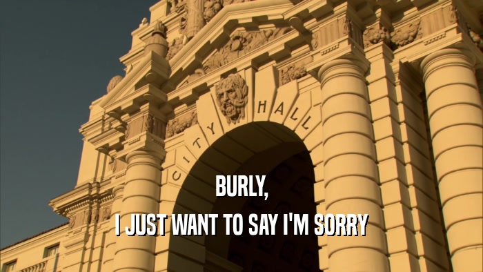 BURLY, I JUST WANT TO SAY I'M SORRY 
