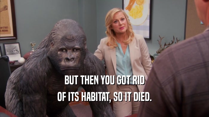 BUT THEN YOU GOT RID OF ITS HABITAT, SO IT DIED. 