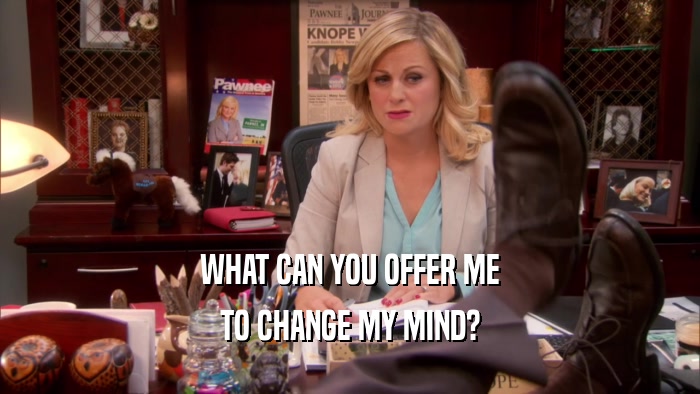 WHAT CAN YOU OFFER ME TO CHANGE MY MIND? 