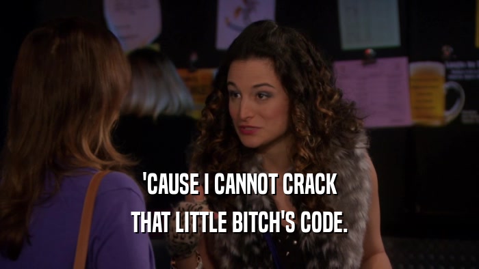 'CAUSE I CANNOT CRACK THAT LITTLE BITCH'S CODE. 