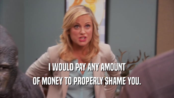 I WOULD PAY ANY AMOUNT OF MONEY TO PROPERLY SHAME YOU. 
