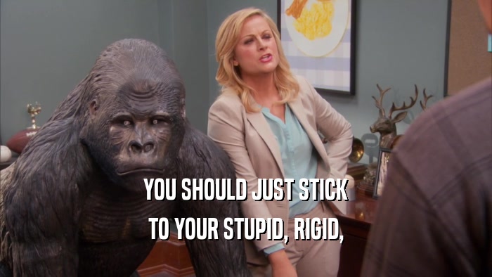 YOU SHOULD JUST STICK TO YOUR STUPID, RIGID, 