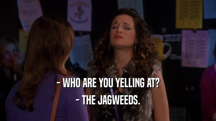 - WHO ARE YOU YELLING AT?
 - THE JAGWEEDS.
 
