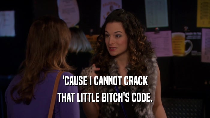 'CAUSE I CANNOT CRACK THAT LITTLE BITCH'S CODE. 