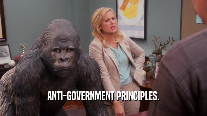 ANTI-GOVERNMENT PRINCIPLES.  