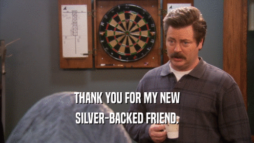 THANK YOU FOR MY NEW SILVER-BACKED FRIEND. 