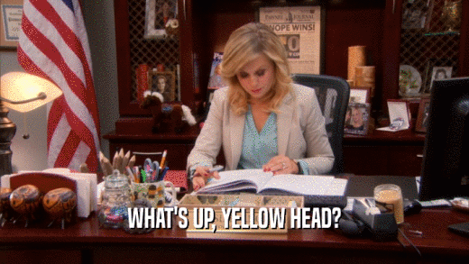 WHAT'S UP, YELLOW HEAD?  