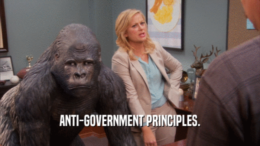 ANTI-GOVERNMENT PRINCIPLES.  