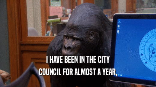 I HAVE BEEN IN THE CITY COUNCIL FOR ALMOST A YEAR, 