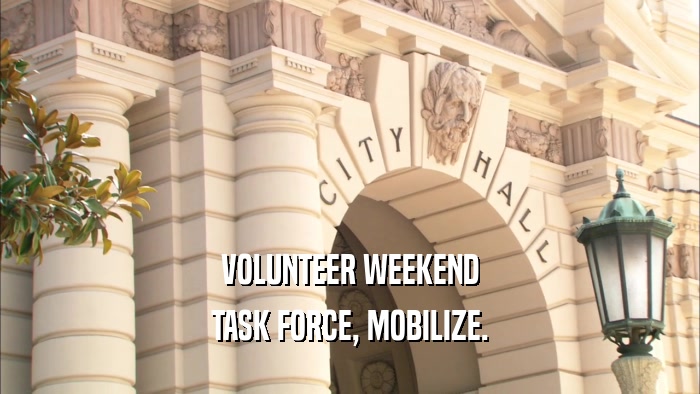 VOLUNTEER WEEKEND TASK FORCE, MOBILIZE. 