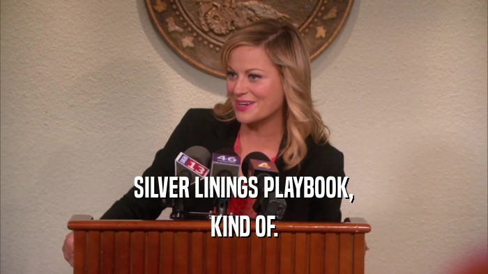 SILVER LININGS PLAYBOOK, KIND OF. 