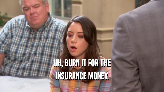 UH, BURN IT FOR THE INSURANCE MONEY. 