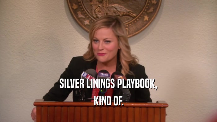 SILVER LININGS PLAYBOOK, KIND OF. 