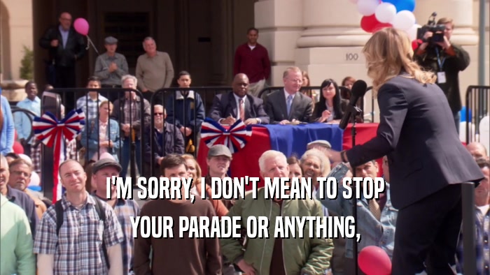I'M SORRY, I DON'T MEAN TO STOP YOUR PARADE OR ANYTHING, 