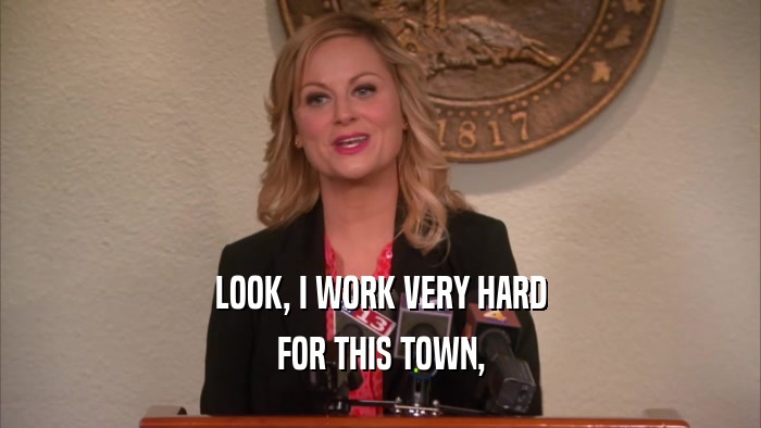 LOOK, I WORK VERY HARD FOR THIS TOWN, 