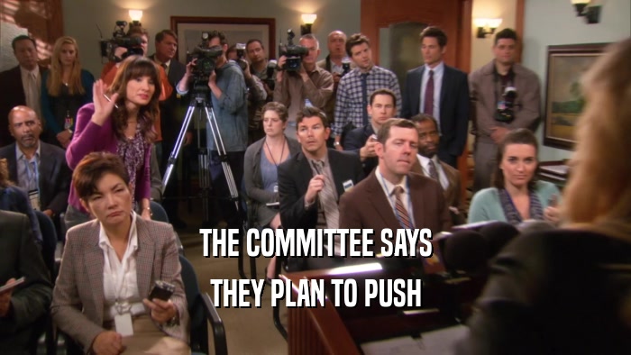 THE COMMITTEE SAYS THEY PLAN TO PUSH 