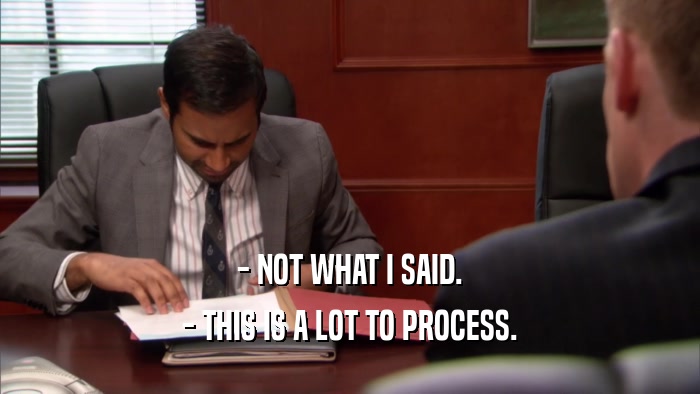 - NOT WHAT I SAID. - THIS IS A LOT TO PROCESS. 