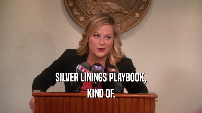 SILVER LININGS PLAYBOOK, KIND OF. 