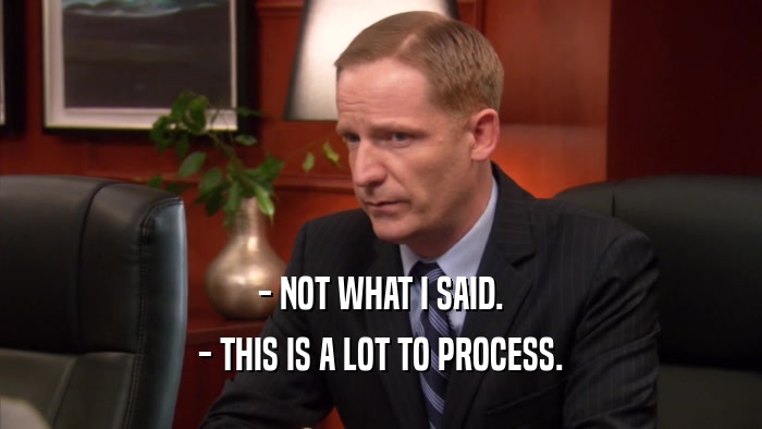 - NOT WHAT I SAID. - THIS IS A LOT TO PROCESS. 