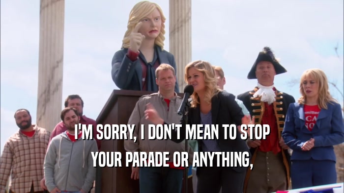 I'M SORRY, I DON'T MEAN TO STOP YOUR PARADE OR ANYTHING, 