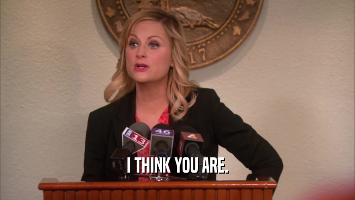I THINK YOU ARE.  