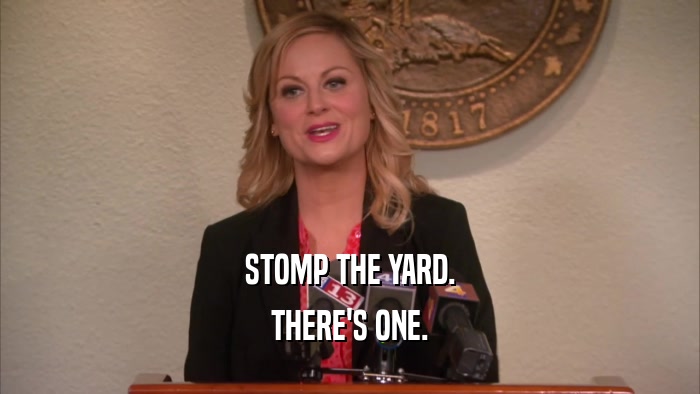 STOMP THE YARD. THERE'S ONE. 