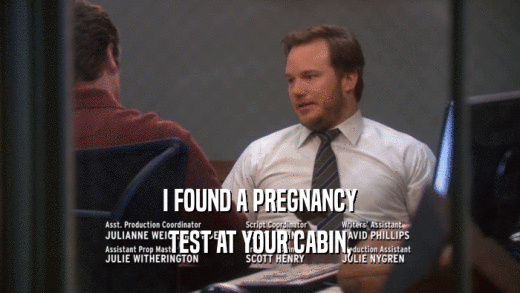 I FOUND A PREGNANCY TEST AT YOUR CABIN, 