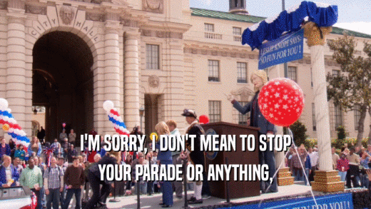 I'M SORRY, I DON'T MEAN TO STOP YOUR PARADE OR ANYTHING, 