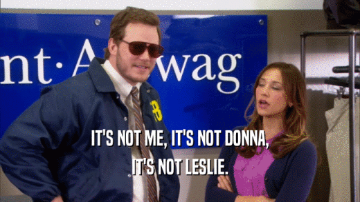 IT'S NOT ME, IT'S NOT DONNA, IT'S NOT LESLIE. 