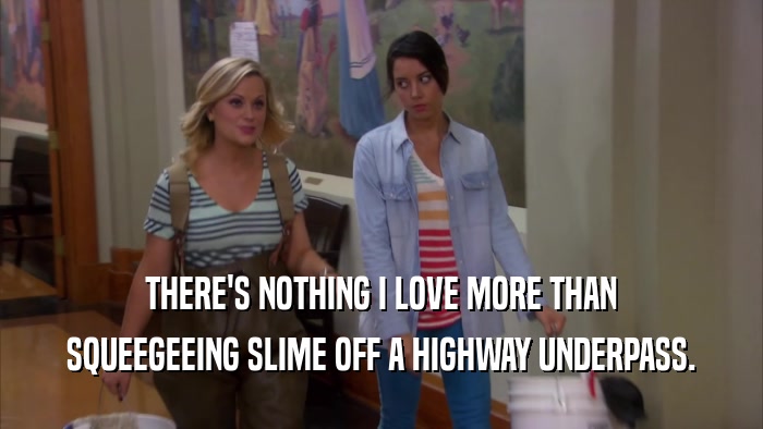 THERE'S NOTHING I LOVE MORE THAN SQUEEGEEING SLIME OFF A HIGHWAY UNDERPASS. 