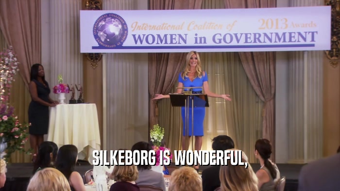 SILKEBORG IS WONDERFUL,  