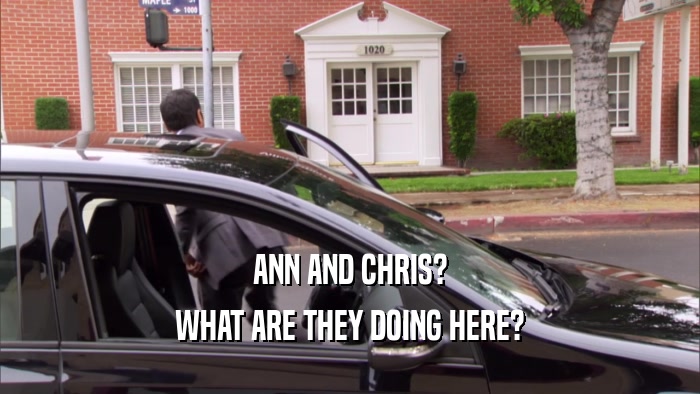 ANN AND CHRIS? WHAT ARE THEY DOING HERE? 
