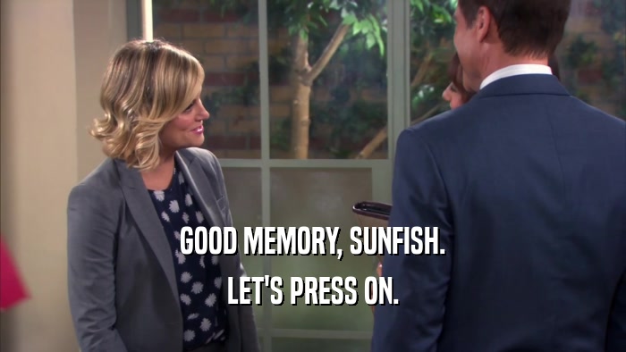 GOOD MEMORY, SUNFISH. LET'S PRESS ON. 