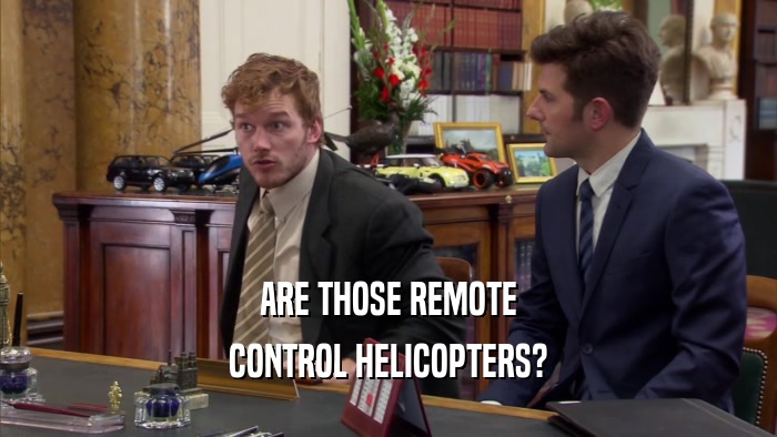 ARE THOSE REMOTE
 CONTROL HELICOPTERS?
 