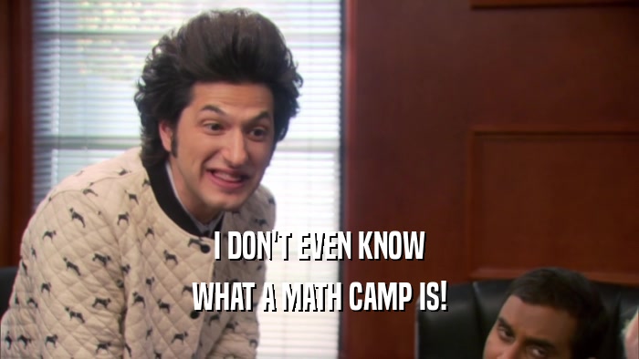 I DON'T EVEN KNOW WHAT A MATH CAMP IS! 