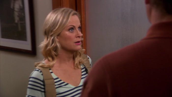 LESLIE KNOPE, WOULD YOU PLEASE BE MY MATRON OF HONOR? 