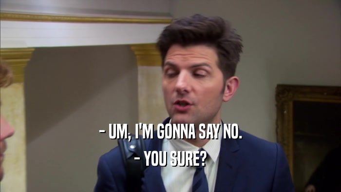 - UM, I'M GONNA SAY NO. - YOU SURE? 