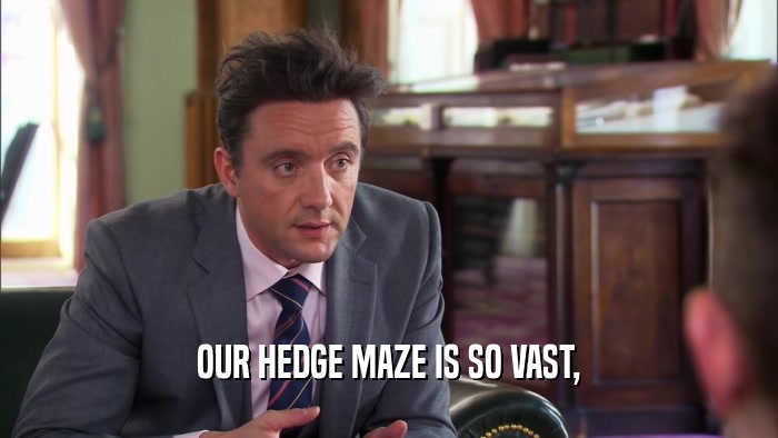 OUR HEDGE MAZE IS SO VAST,  