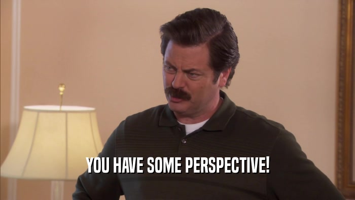 YOU HAVE SOME PERSPECTIVE!  